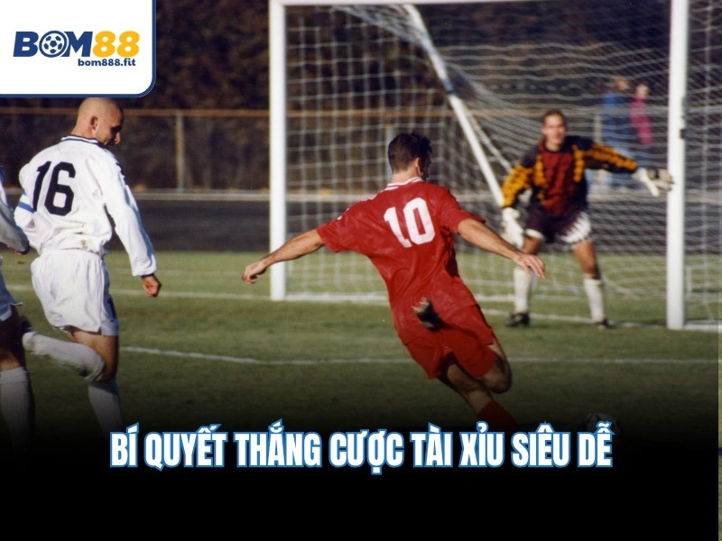 Bí quyết thắng cược Tài Xỉu siêu dễ