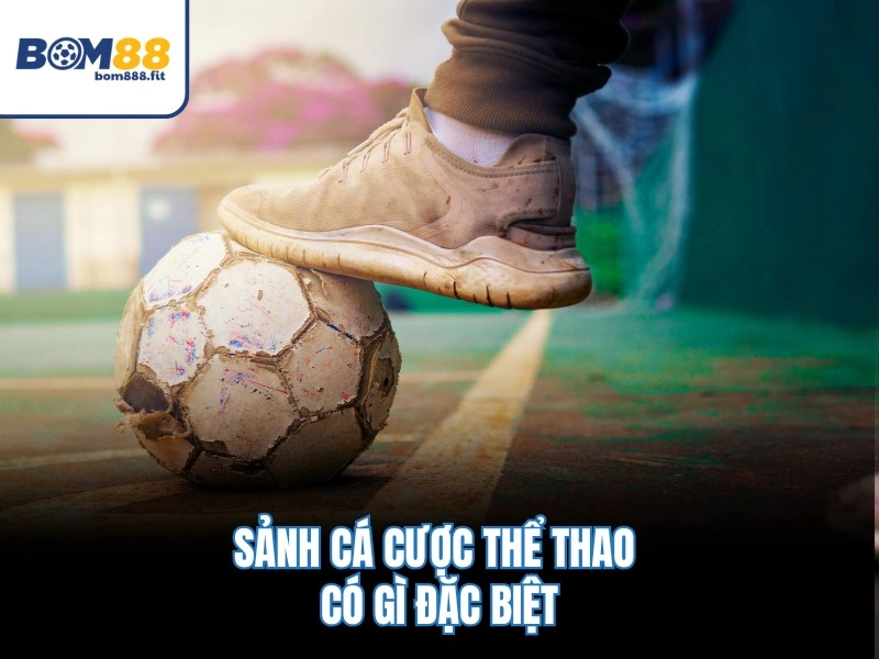 Thể Thao BOM88 – Bảng Kèo Trực Tuyến, Cập Nhật Tỷ Số 1s 3 Sảnh cá cược thể thao có gì đặc biệt